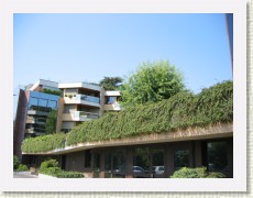 A_IMG_2425 * 2272 x 1704 * (1.27MB)