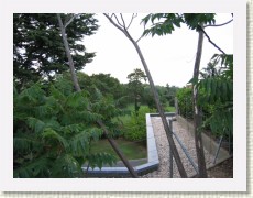 T_IMG_2325 * 2272 x 1704 * (1.17MB)