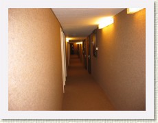 U_IMG_2361 * 2272 x 1704 * (980KB)