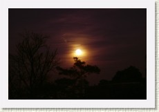 PICT0679-a * 3008 x 2000 * (1.43MB)