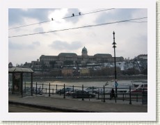 IMG_2947 * 2272 x 1704 * (845KB)