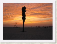 IMG_1417 * 2272 x 1704 * (825KB)