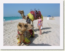 IMG_1509 * 2272 x 1704 * (998KB)