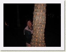 IMG_1634 * 2272 x 1704 * (551KB)